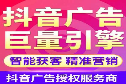SEM托管公司案例分析：实战技巧全解析